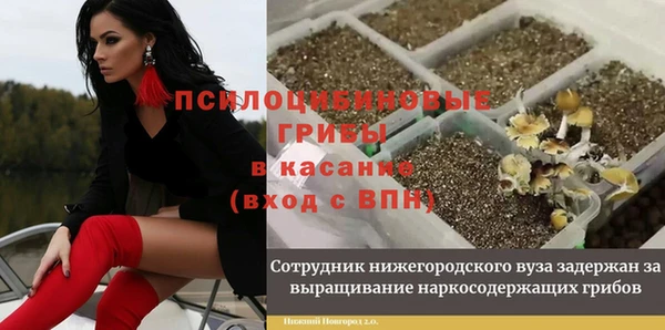прущая мука Нея