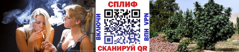 Купить закладки  Козьмодемьянск  Бошки марихуана AK-47 